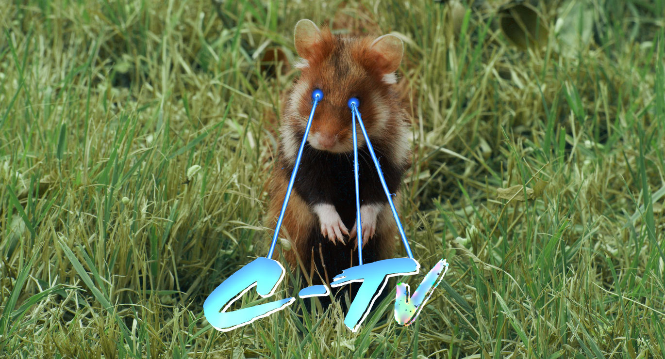 EgermannThym_C-TV_courtesy sixpackfilm_02