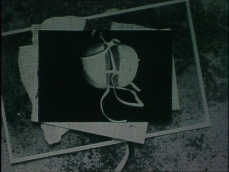 Christanell_Ueberlagerungen02_CourtesySixpackfilm