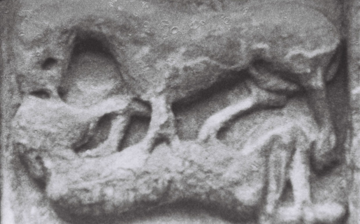 Groeller_Conditio Humana_courtesy sixpackfilm_01