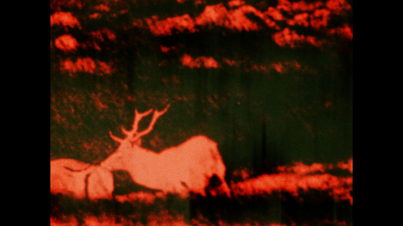 Der galaktische Nordpol liegt im Haar der Berenice