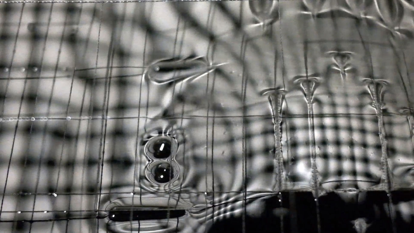 Gregor Eldarb_A SEED IS PLANTED.Courtesysixpackfilm