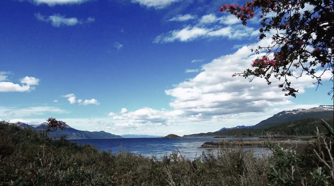 WhenFireTurnsToAsh_CourtesySixpackfilm_02