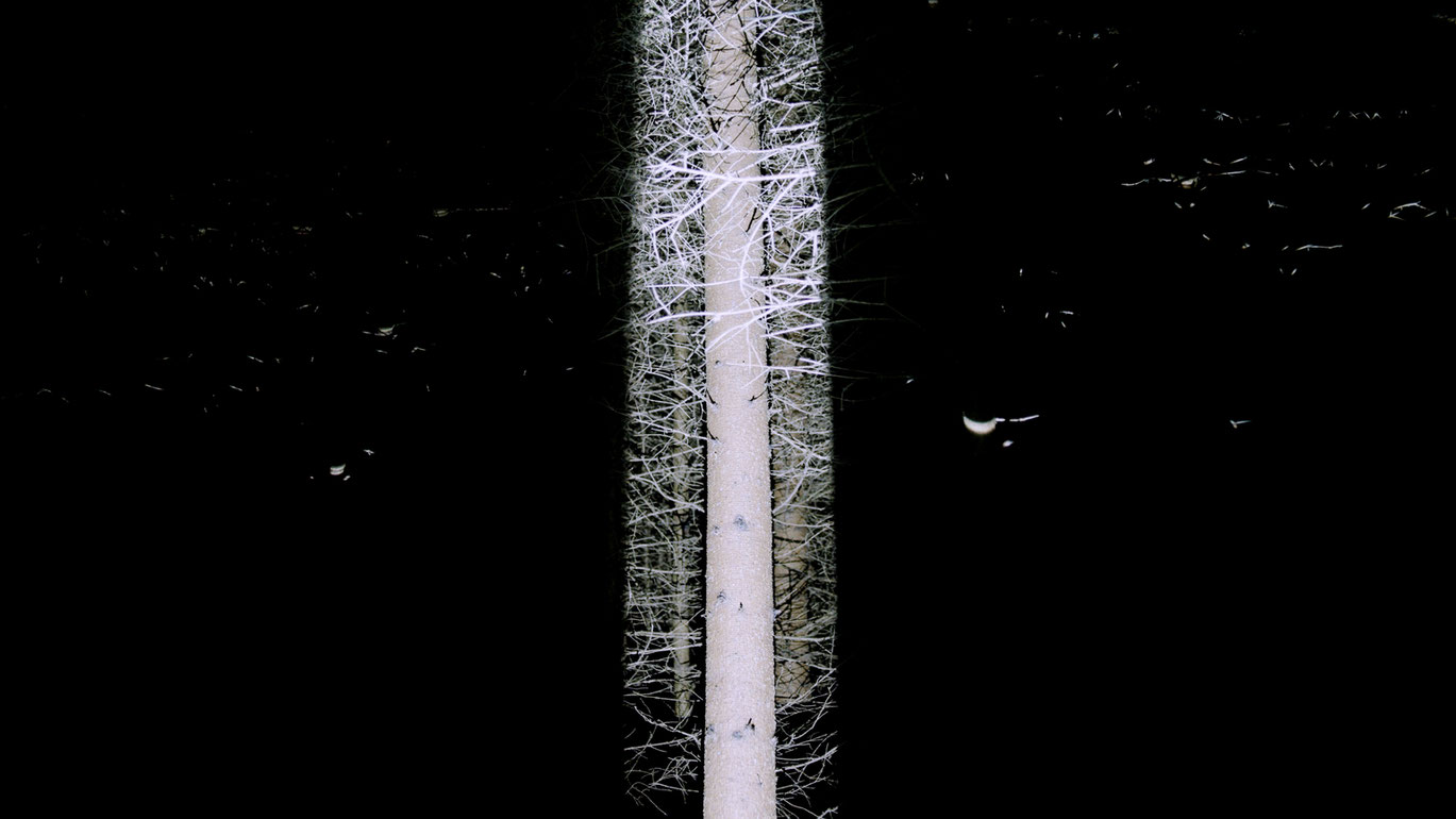 ManuelKnapp_aboutthenatureofdarkness_Courtesysixpackfilm_02