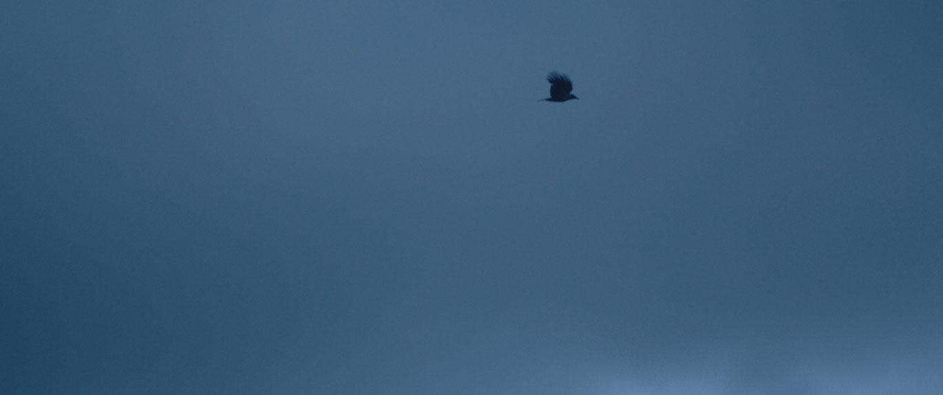 Maria Arlamovsky_Slowly Coming Closer_courtesy sixpackfilm_01