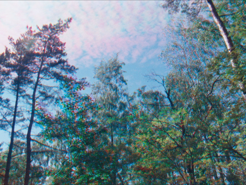 SchmidViktoria_RojoZaliaBlau_CourtesySixpackfilm