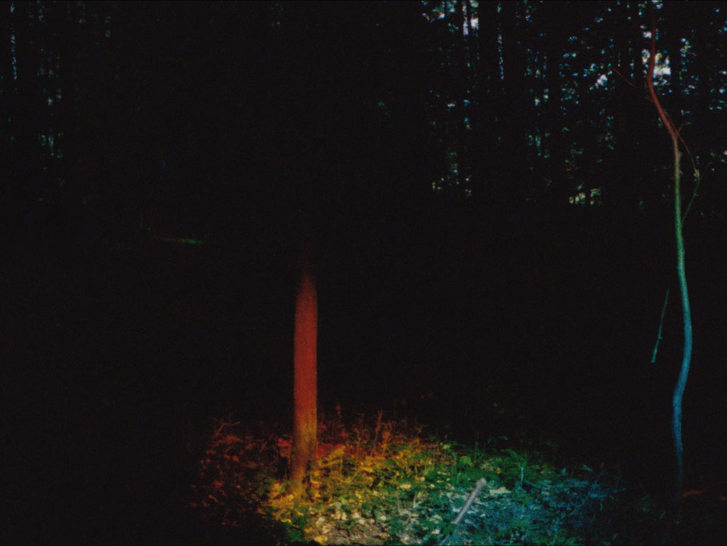 SchmidViktoria_RojoZaliaBlau_CourtesySixpackfilm