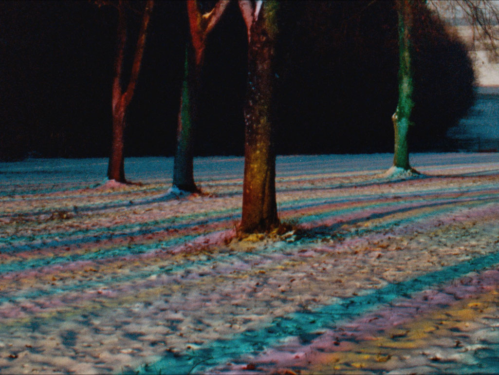 SchmidViktoria_RojoZaliaBlau_CourtesySixpackfilm