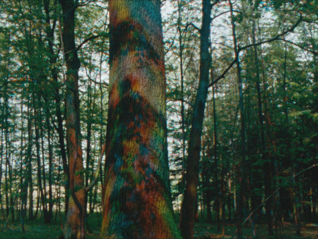 SchmidViktoria_RojoZaliaBlau_CourtesySixpackfilm