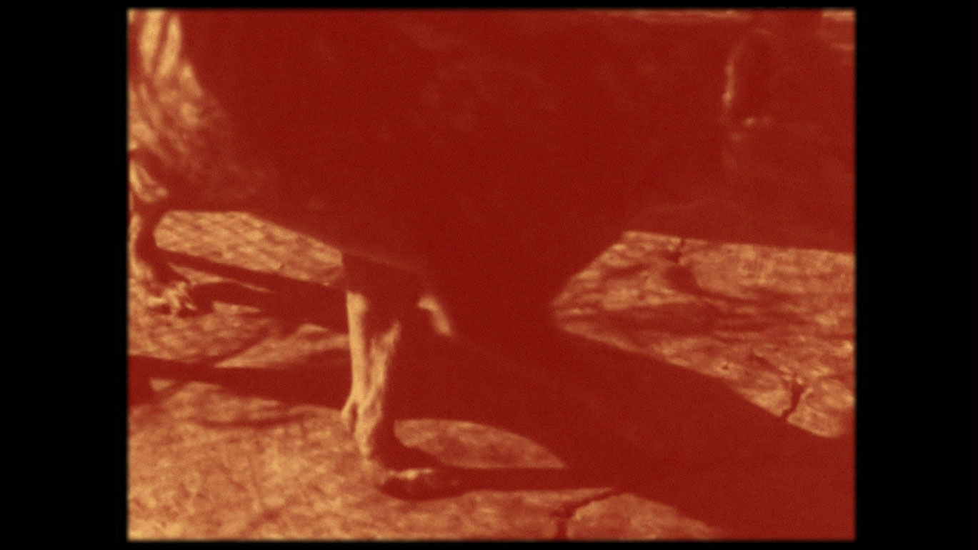 THYLA_Stefan_Nemeth_courtesy sixpackfilm3