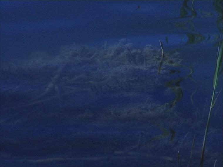 At least I've been outside_01