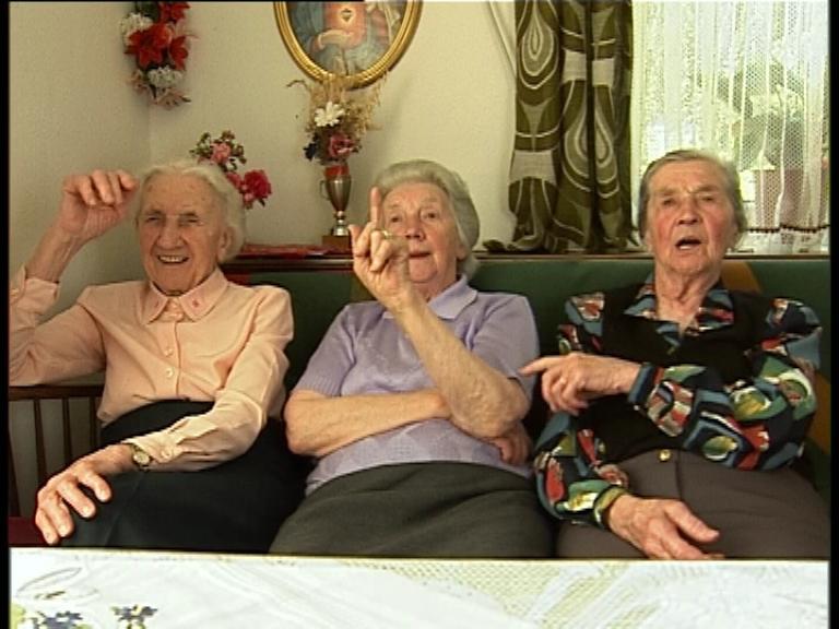 Der Kärntner spricht Deutsch