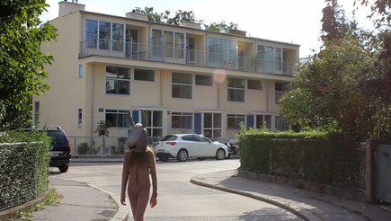 Forms in relation to life / Die Wiener Werkbundsiedlung