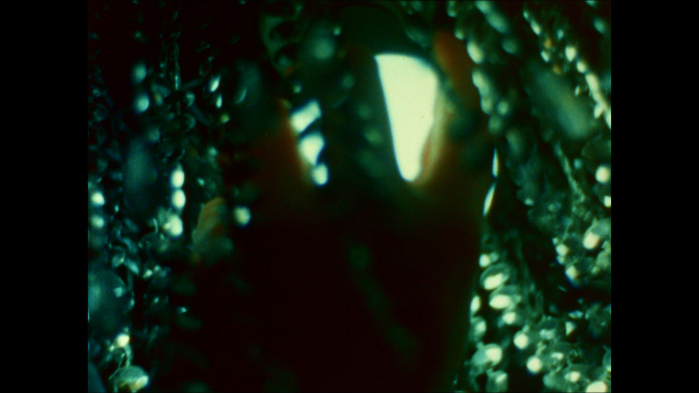 Filmstill