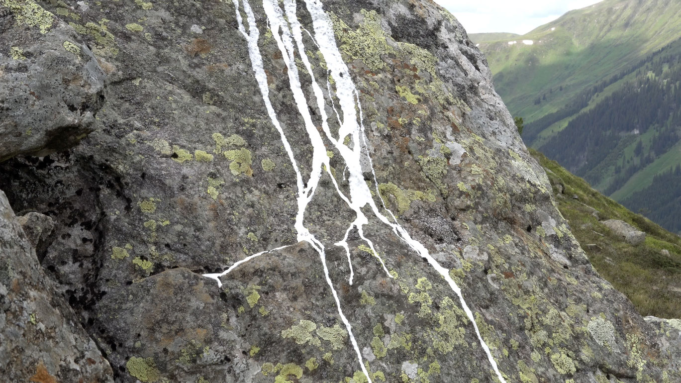 White Ribbons (still)