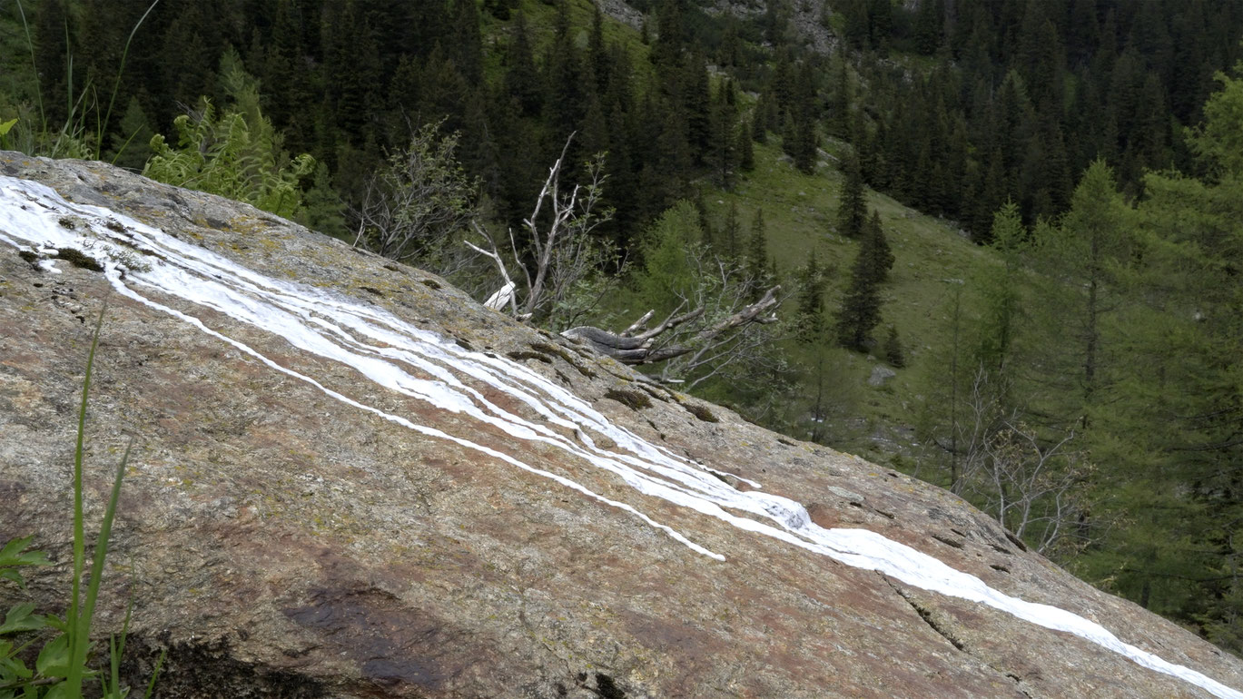 White Ribbons (still)