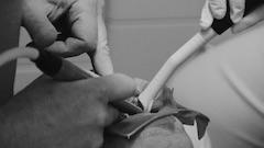 Josef Dabernig´s HEAVY METAL DETOX selected for Toronto TIFF/Wavelength