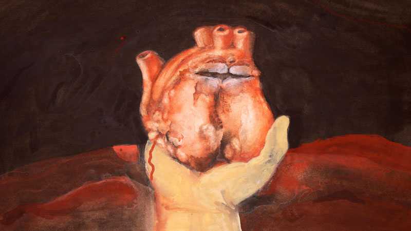 Two Awards at 63rd Ann Arbor Film Festival